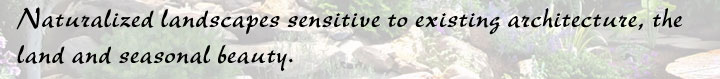 Naturalized landscapes sensitive to existing architecture, the land and seasonal beauty.